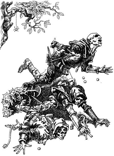 Иллюстрация к книге — Всё о волшебной стране Тилоаре [i_026.jpg]