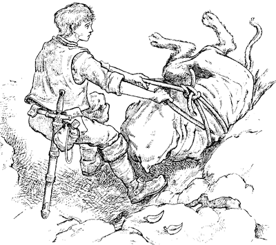 Иллюстрация к книге — Всё о волшебной стране Тилоаре [i_082.jpg]