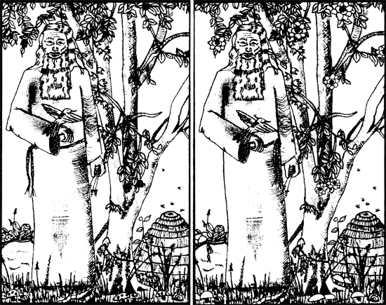 Иллюстрация к книге — Всё о волшебной стране Тилоаре [i_134.jpg]