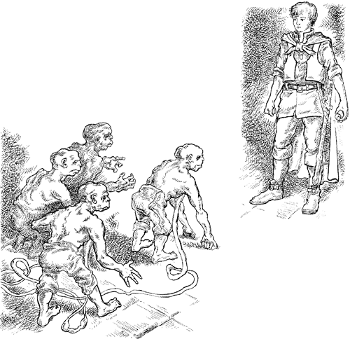 Иллюстрация к книге — Всё о волшебной стране Тилоаре [i_136.jpg]