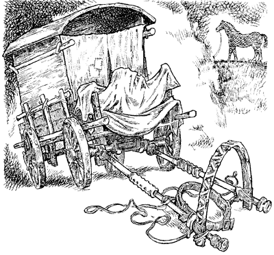 Иллюстрация к книге — Всё о волшебной стране Тилоаре [i_139.jpg]