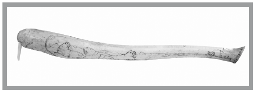 Иллюстрация к книге — «Главный» мужской орган. Медицинские исследования, исторические факты и забавные культурные феномены [i_005.jpg]