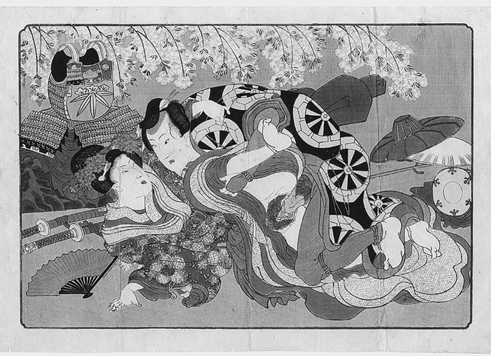 Иллюстрация к книге — «Главный» мужской орган. Медицинские исследования, исторические факты и забавные культурные феномены [i_038.jpg]