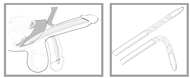 Иллюстрация к книге — «Главный» мужской орган. Медицинские исследования, исторические факты и забавные культурные феномены [i_054.jpg]