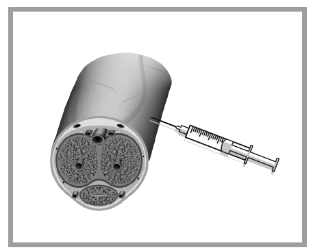 Иллюстрация к книге — «Главный» мужской орган. Медицинские исследования, исторические факты и забавные культурные феномены [i_058.jpg]