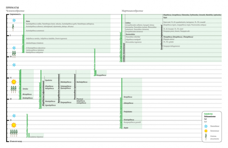 Иллюстрация к книге — Палеонтология антрополога. Иллюстрированный путеводитель в зверинец прошлого [i_002.jpg]