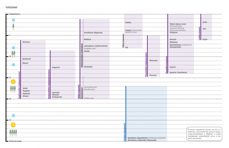 Иллюстрация к книге — Палеонтология антрополога. Иллюстрированный путеводитель в зверинец прошлого [i_004.jpg]