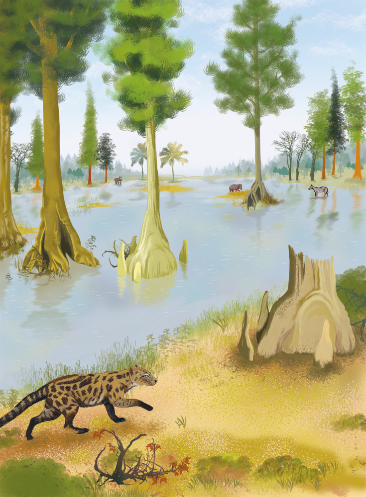 Иллюстрация к книге — Палеонтология антрополога. Иллюстрированный путеводитель в зверинец прошлого [i_005.jpg]