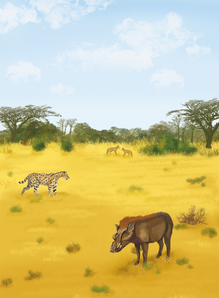 Иллюстрация к книге — Палеонтология антрополога. Иллюстрированный путеводитель в зверинец прошлого [i_026.jpg]