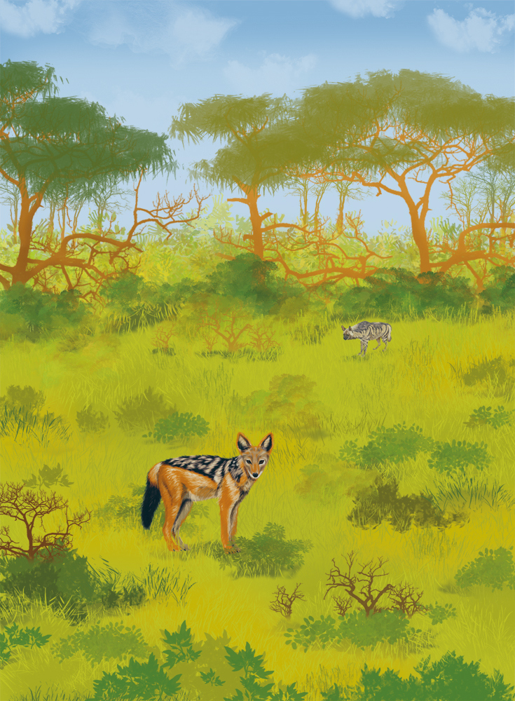 Иллюстрация к книге — Палеонтология антрополога. Иллюстрированный путеводитель в зверинец прошлого [i_032.jpg]