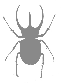 Иллюстрация к книге — Фабр. Восстание жуков [i_002.jpg]