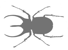 Иллюстрация к книге — Битва жуков [i_011.jpg]