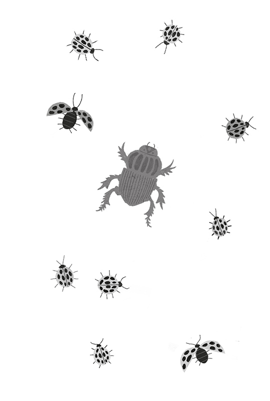 Иллюстрация к книге — Битва жуков [i_029.jpg]