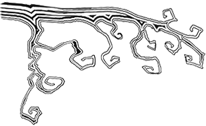 Иллюстрация к книге — Скелет в шкафу и другие ужасные истории [i_025.jpg]