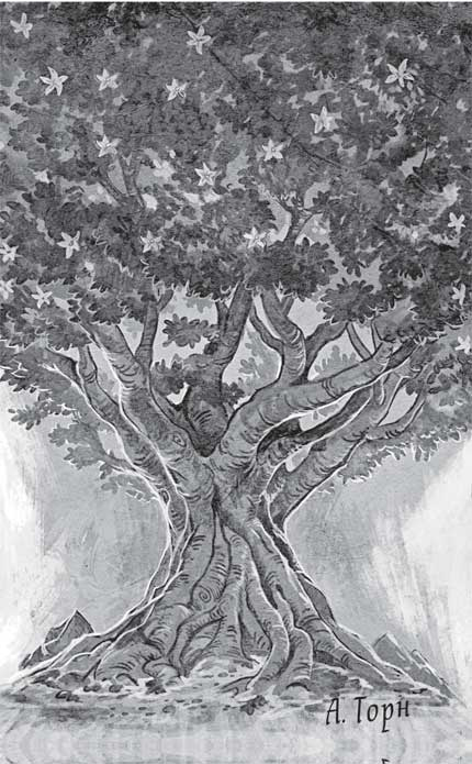 Иллюстрация к книге — Traveler: Сияющий клинок [i_018.jpg]