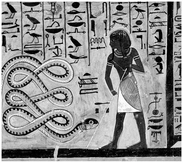 Иллюстрация к книге — Египетские мифы. От пирамид и фараонов до Анубиса и «Книги мертвых» [i_024.jpg]