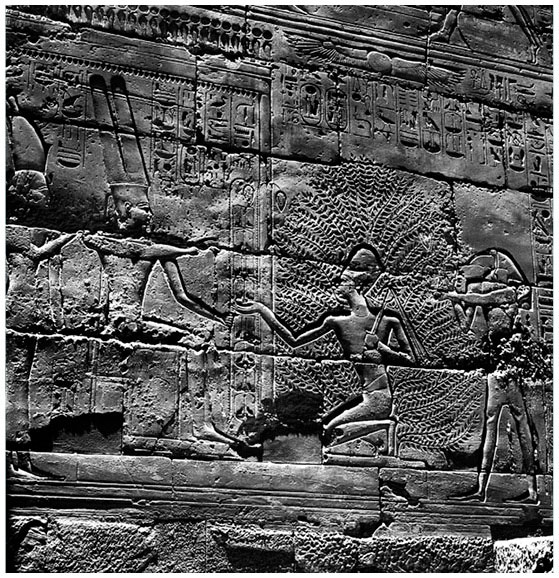 Иллюстрация к книге — Египетские мифы. От пирамид и фараонов до Анубиса и «Книги мертвых» [i_035.jpg]