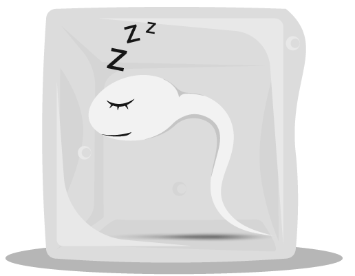 Иллюстрация к книге — Доказательная гинекология и немного волшебства на пути к двум полоскам [i_016.jpg]