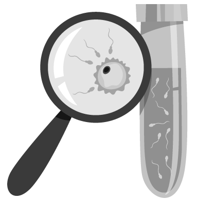 Иллюстрация к книге — Доказательная гинекология и немного волшебства на пути к двум полоскам [i_017.jpg]