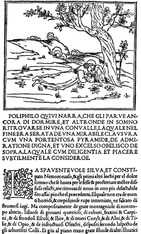 Иллюстрация к книге — История книгоиздания в Европе. Пять веков от первого печатного станка до современных технологий [i_016.jpg]