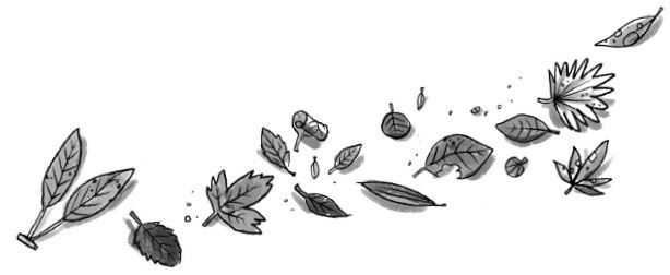 Иллюстрация к книге — Бука. Нежданные гости [i_003.jpg]