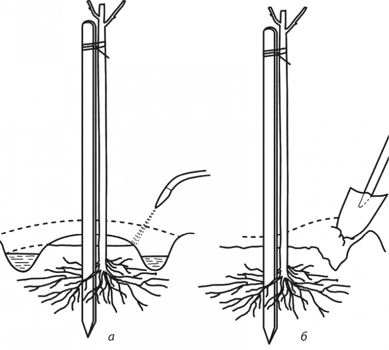 Иллюстрация к книге — Как обустроить сад и зарабатывать на нем [i_014.jpg]