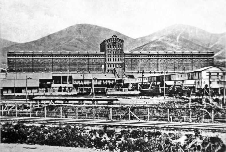 Иллюстрация к книге — Лекарство для империи. История Российского государства. Царь-освободитель и царь-миротворец [i_076.jpg]