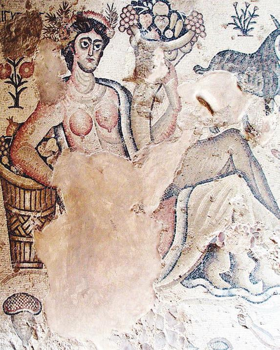 Иллюстрация к книге — Мистерии Мухомора [i_034.jpg]