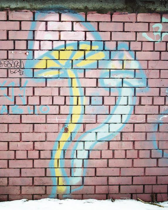 Иллюстрация к книге — Мистерии Мухомора [i_043.jpg]