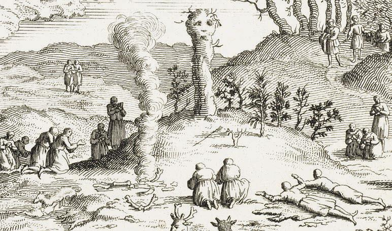 Иллюстрация к книге — Мистерии Мухомора [i_113.jpg]