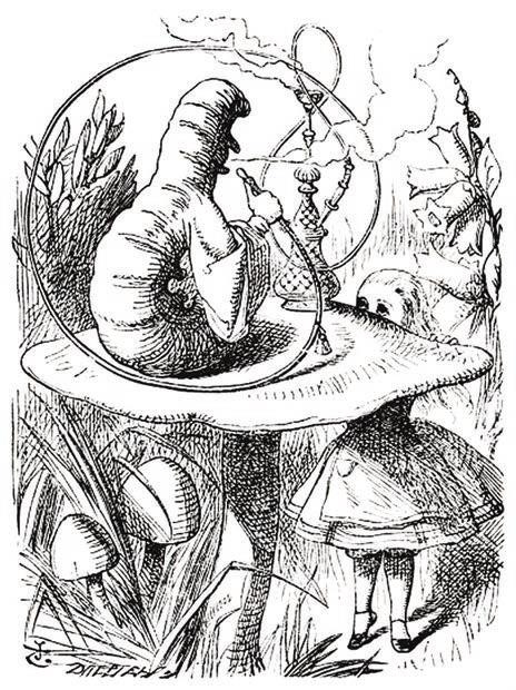 Иллюстрация к книге — Мистерии Мухомора [i_115.jpg]