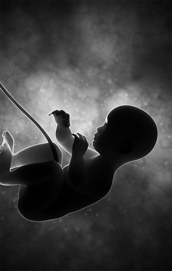 Иллюстрация к книге — 99 секретов биологии [i_001.jpg]