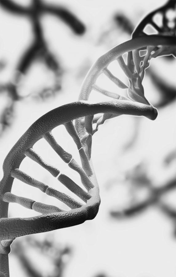 Иллюстрация к книге — 99 секретов биологии [i_003.jpg]