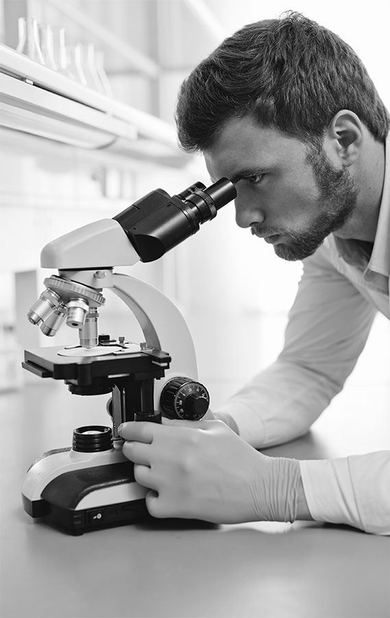 Иллюстрация к книге — 99 секретов биологии [i_039.jpg]