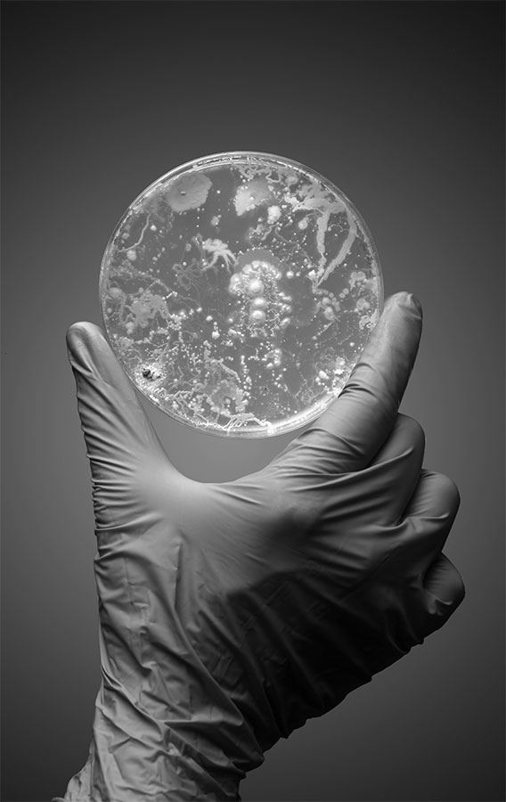 Иллюстрация к книге — 99 секретов биологии [i_040.jpg]