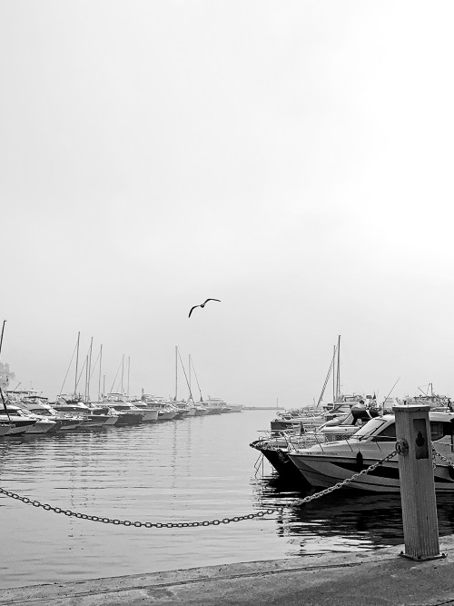 Иллюстрация к книге — На берегах Босфора. Стамбул в рецептах, историях и криках чаек [i_011.jpg]