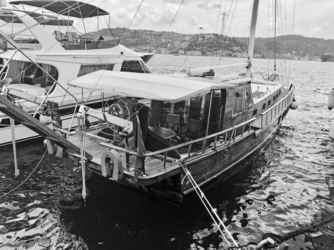 Иллюстрация к книге — На берегах Босфора. Стамбул в рецептах, историях и криках чаек [i_020.jpg]