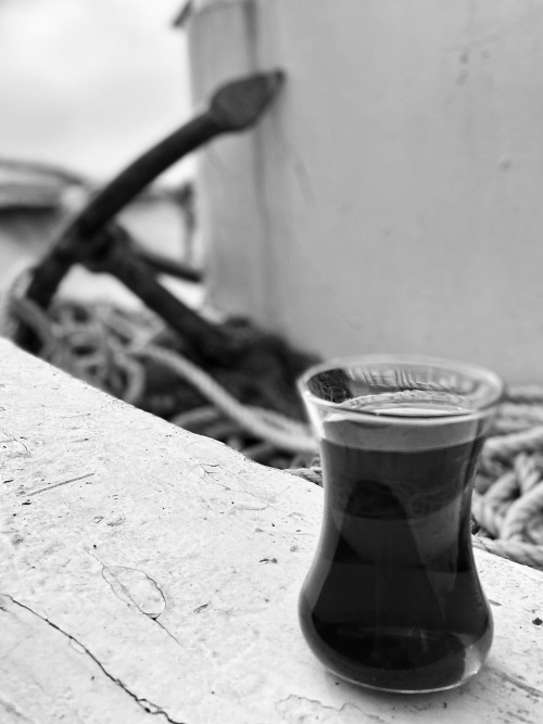 Иллюстрация к книге — На берегах Босфора. Стамбул в рецептах, историях и криках чаек [i_025.jpg]