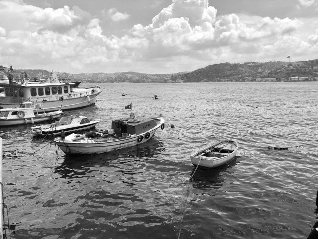 Иллюстрация к книге — На берегах Босфора. Стамбул в рецептах, историях и криках чаек [i_032.jpg]