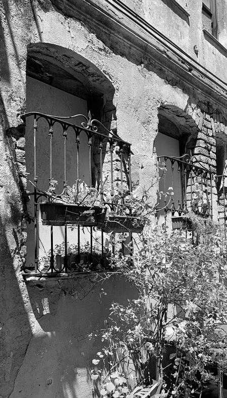 Иллюстрация к книге — На берегах Босфора. Стамбул в рецептах, историях и криках чаек [i_046.jpg]