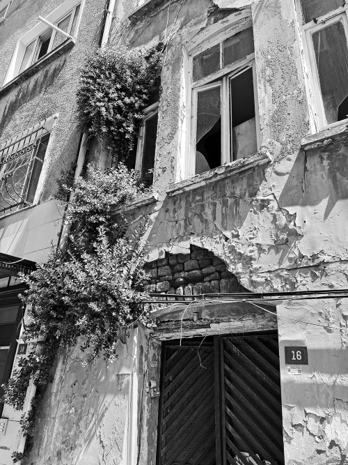 Иллюстрация к книге — На берегах Босфора. Стамбул в рецептах, историях и криках чаек [i_063.jpg]