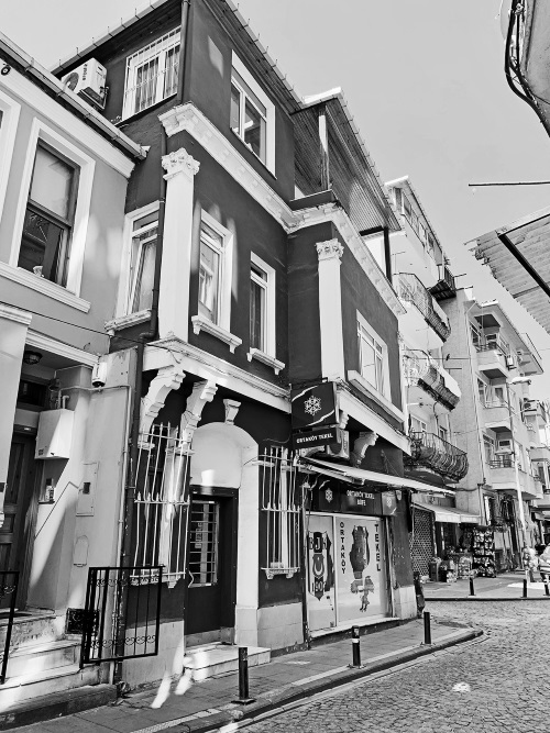 Иллюстрация к книге — На берегах Босфора. Стамбул в рецептах, историях и криках чаек [i_071.jpg]