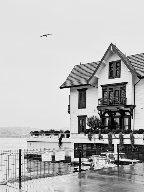 Иллюстрация к книге — На берегах Босфора. Стамбул в рецептах, историях и криках чаек [i_072.jpg]