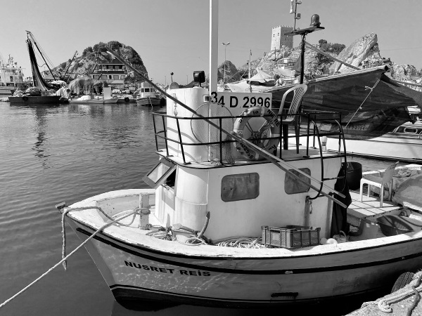 Иллюстрация к книге — На берегах Босфора. Стамбул в рецептах, историях и криках чаек [i_078.jpg]