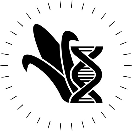 Иллюстрация к книге — Миф о плохой еде, который будет развенчан! [i_066.jpg]