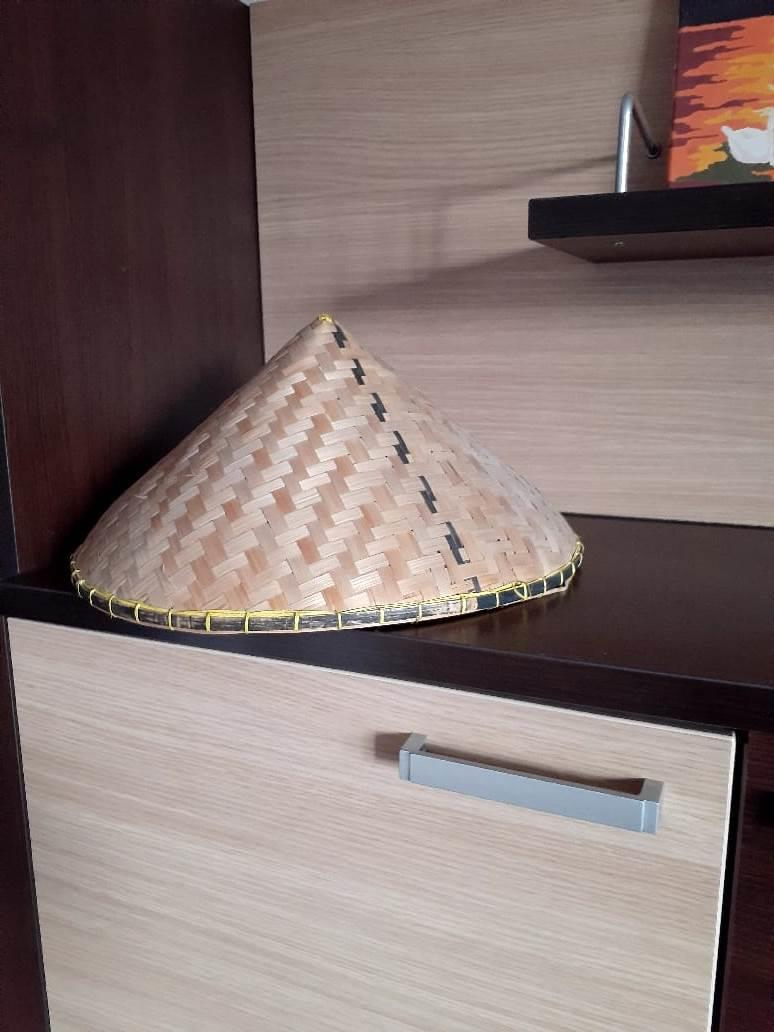 Иллюстрация к книге — Размышления русского боксёра в токийской академии Тамагава [img-2d9.jpg]