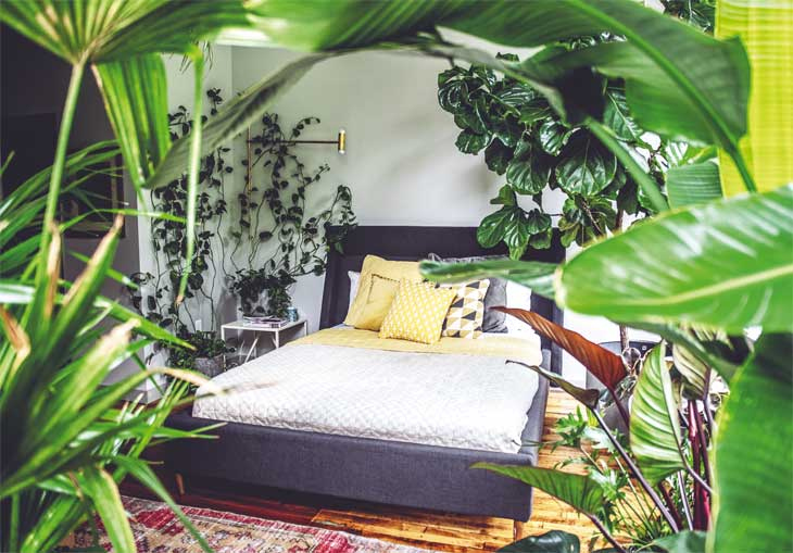 Иллюстрация к книге — Wild at home. Как превратить свой дом в зеленый рай [i_001.jpg]