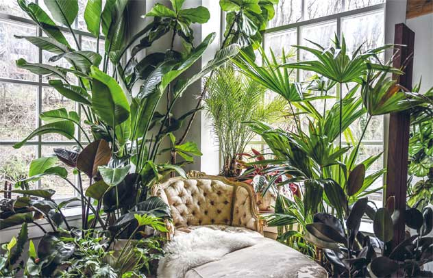 Иллюстрация к книге — Wild at home. Как превратить свой дом в зеленый рай [i_004.jpg]