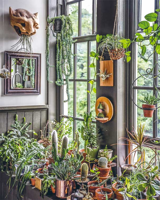 Иллюстрация к книге — Wild at home. Как превратить свой дом в зеленый рай [i_007.jpg]