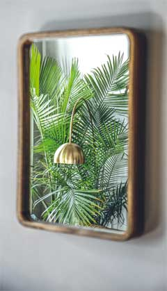 Иллюстрация к книге — Wild at home. Как превратить свой дом в зеленый рай [i_011.jpg]